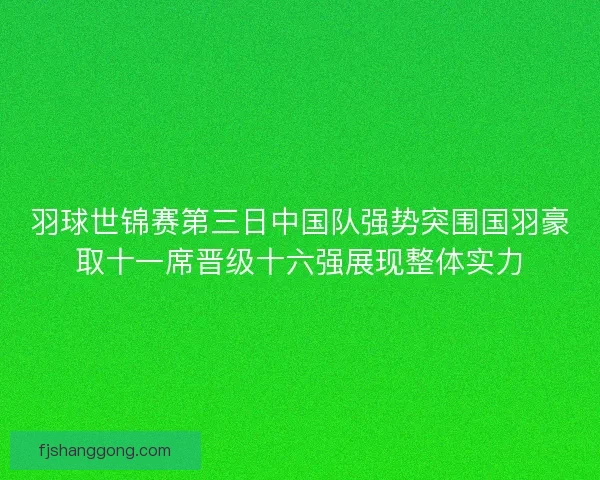 羽球世锦赛第三日中国队强势突围国羽豪取十一席晋级十六强展现整体实力 羽球世锦赛第三日中国队强势突围国羽豪取十一席晋级十六强展现整体实力