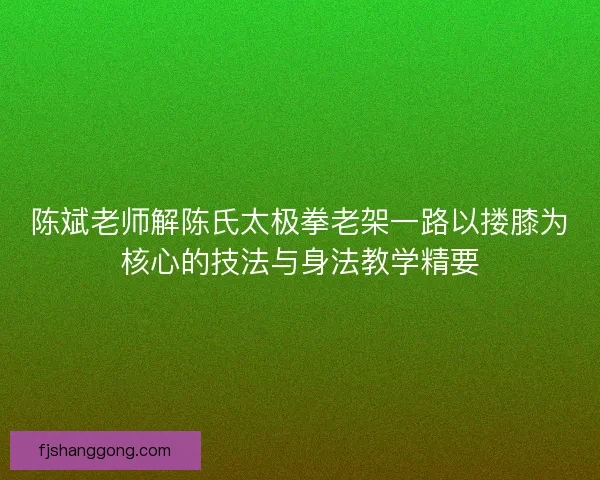 陈斌老师解陈氏太极拳老架一路以搂膝为核心的技法与身法教学精要 陈斌老师解陈氏太极拳老架一路以搂膝为核心的技法与身法教学精要